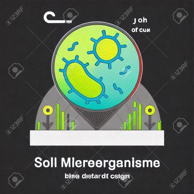 Bacteria under soil In Line Color Design illustration