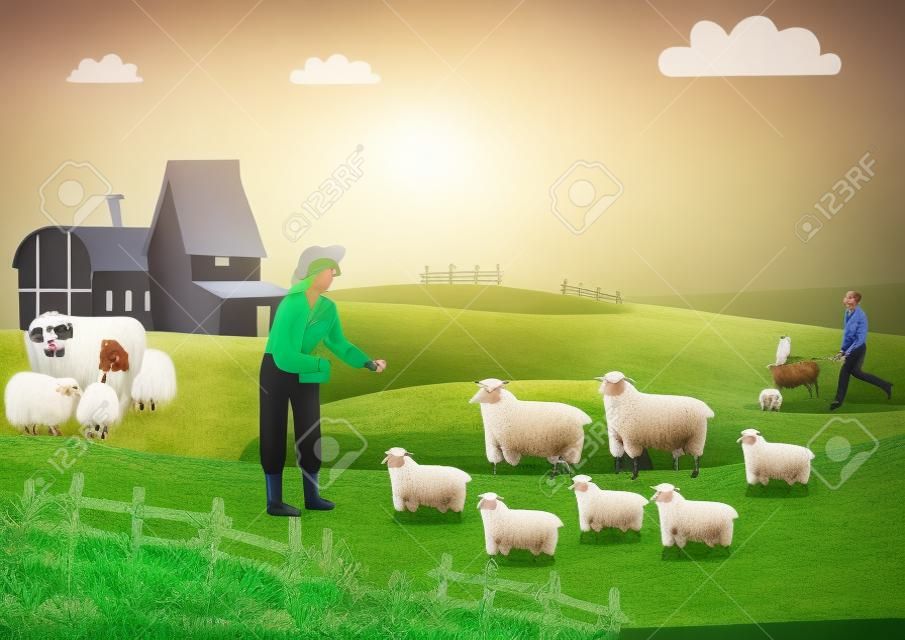 The girl brought the sheep to eat grass. The husband smiled and took the dog to chase the white sheep for breeding. Eco-farming concept, concept, farmland, rural, landscape, flat, full length, horizontal