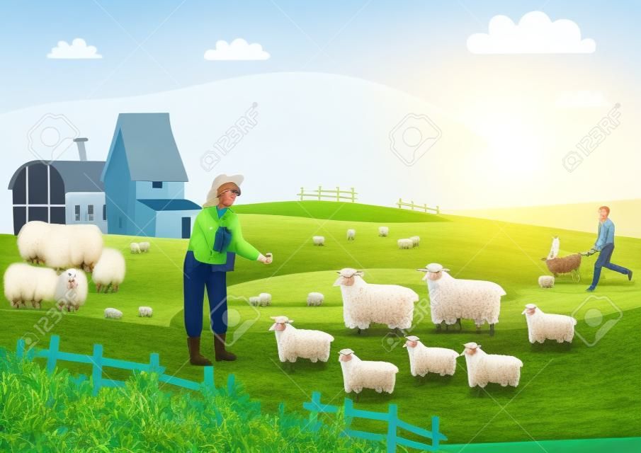 The girl brought the sheep to eat grass. The husband smiled and took the dog to chase the white sheep for breeding. Eco-farming concept, concept, farmland, rural, landscape, flat, full length, horizontal