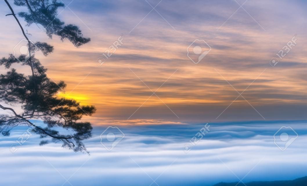 Niebla hermosa del mar en el tiempo de la mañana en el punto de vista de la salida del sol, parque nacional de Phu Kradueng en Tailandia, paisaje photo