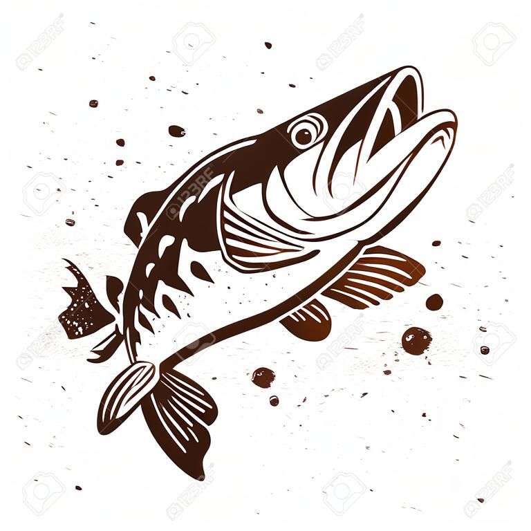 掠奪派克。魚的程式化的形象。矢量插圖在白色背景上用油漆飛濺。概念設計釣魚。