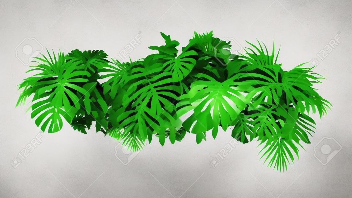 Tropische Blätter Laub Pflanze Busch Blume Anordnung Natur Hintergrund isoliert auf weißem Hintergrund . Clipping-Pfad enthalten