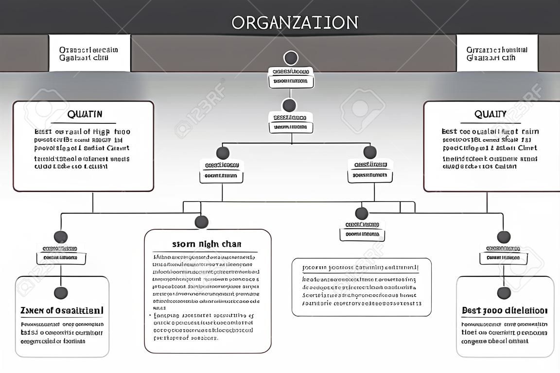 Organization Chart Infographics