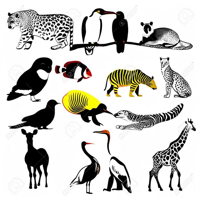 vector set di animali su sfondo bianco