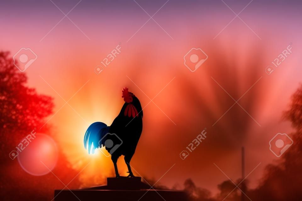 Early morning of new day concept: Silhouette rooster on blurred beautiful sunrise sky with sun light in farm autumn background