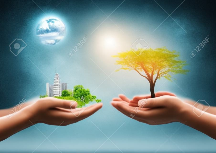 Koncepcja światowego dnia środowiska: dwie ludzkie ręce trzymające duże drzewo i miasto na niewyraźnym tle przyrody
