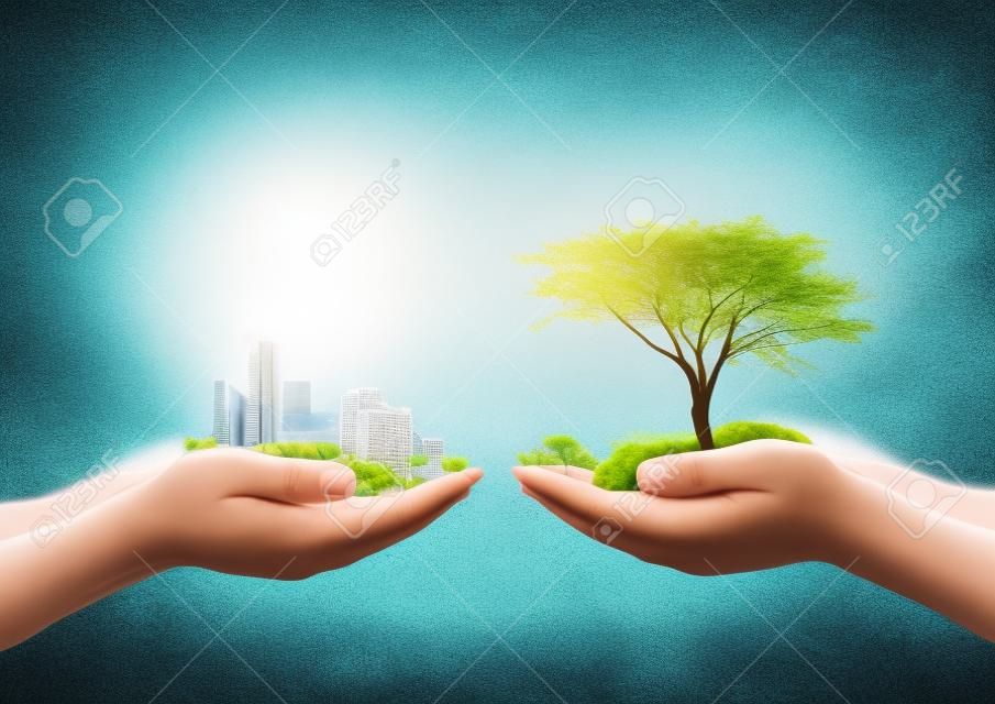 Conceito do dia do ambiente do mundo: Duas mãos humanas que prendem a árvore grande e a cidade sobre o fundo desfocado da natureza
