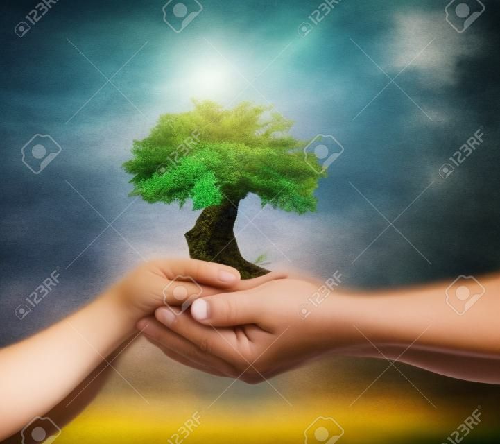 International human rights day concept: Two human hands holding growth tree on blurred nature background