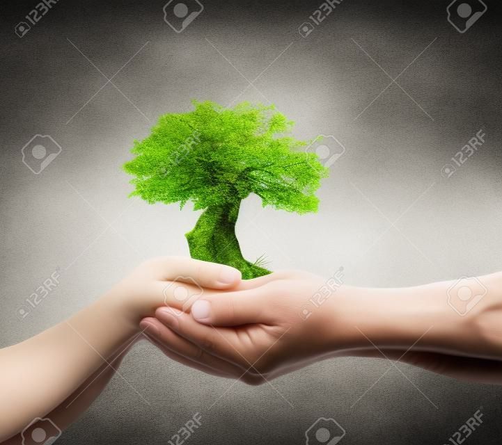Concetto di giornata internazionale dei diritti umani: due mani umane che tengono un albero di crescita su uno sfondo sfocato della natura