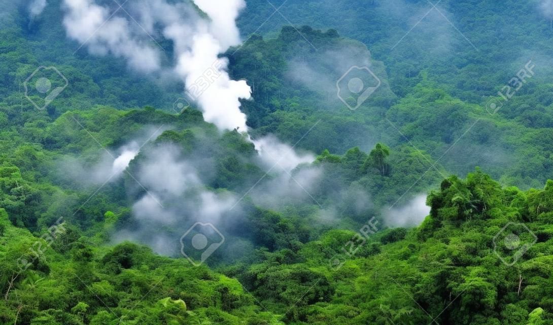 充满蒸汽和湿气Khao Yai国家公园热带雨林