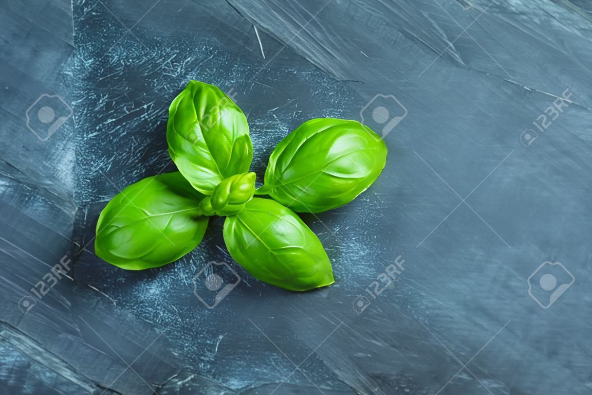 Closeup on basil on stone substrate