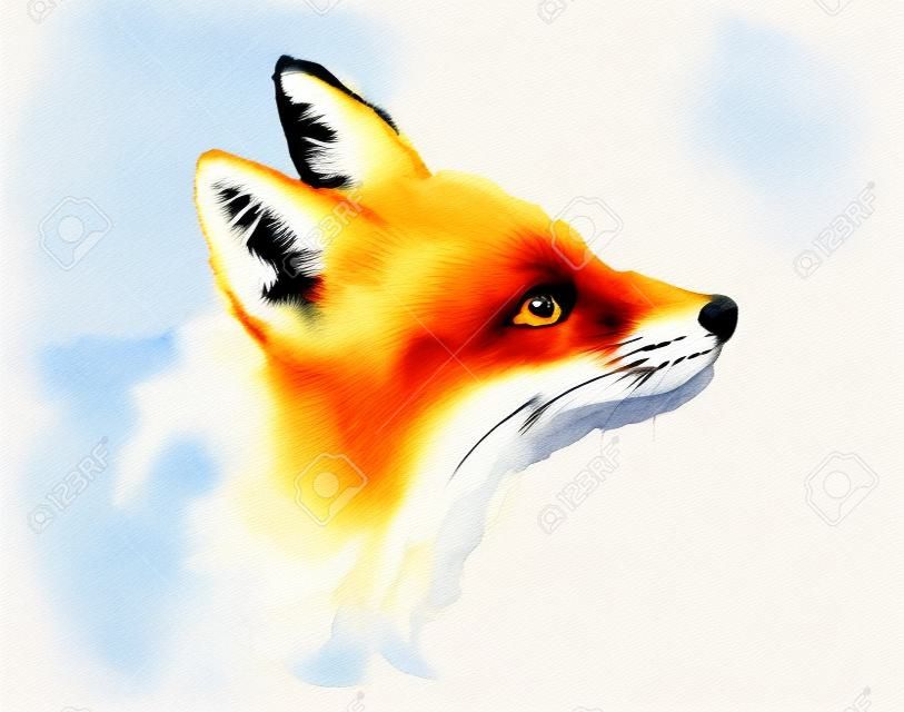 狐狸抬頭水彩插圖手繪孤立在白色背景