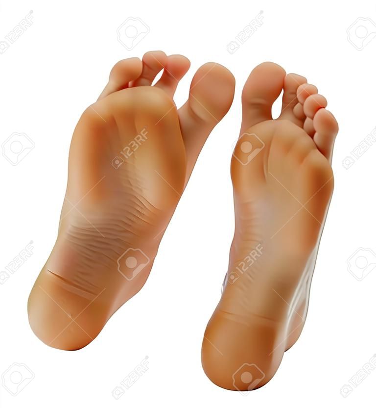pieds de taille adulte isolés sur fond blanc
