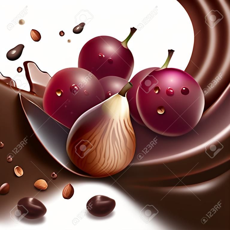 Raisins rouges et noisettes avec des morceaux de chocolat sur une vague de chocolat.