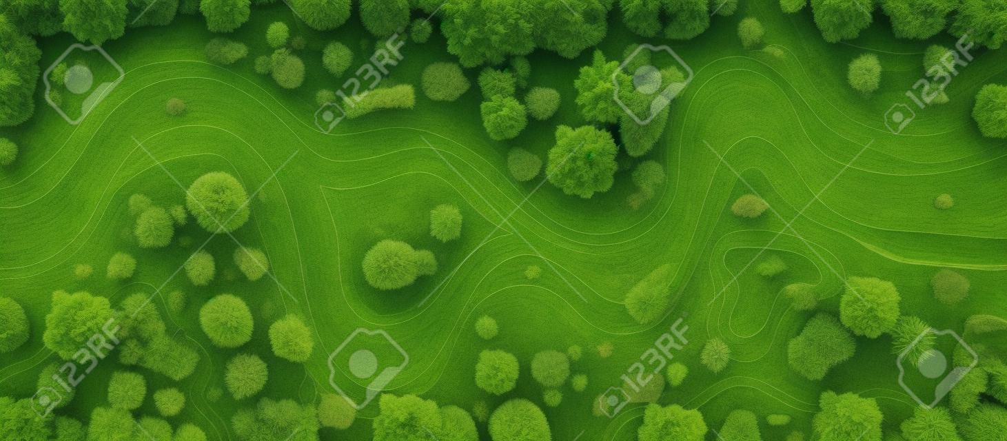 River top view landscape above forest, aerial map