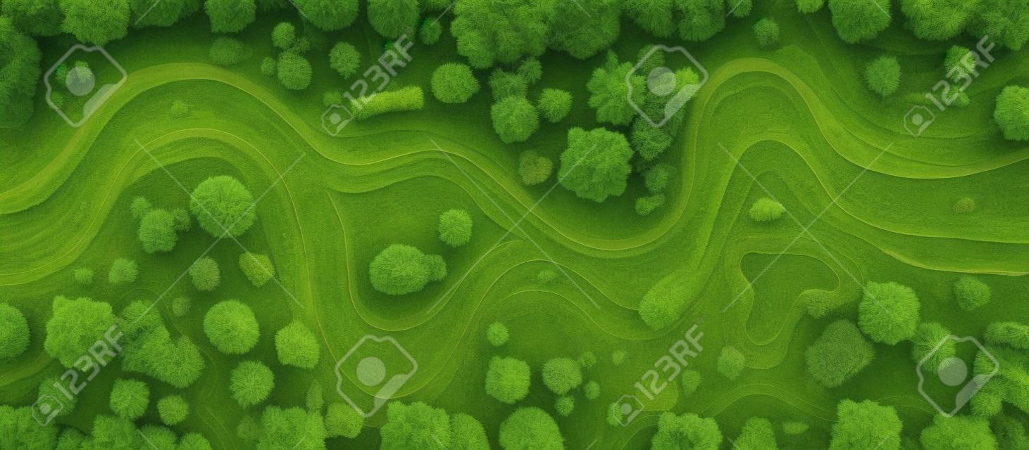 River top view landscape above forest, aerial map