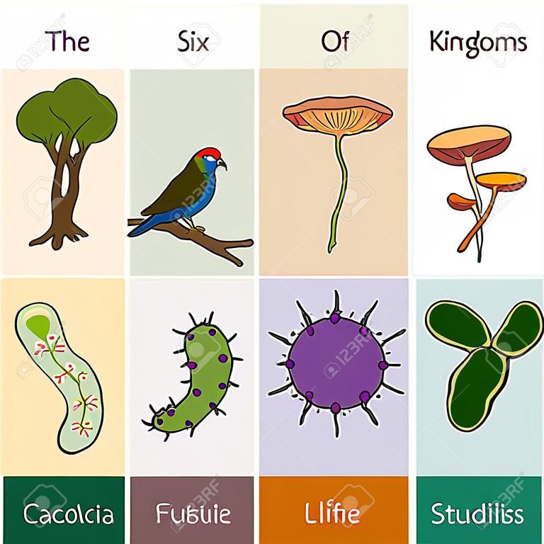 The six Kingdoms of Life Vector illustration