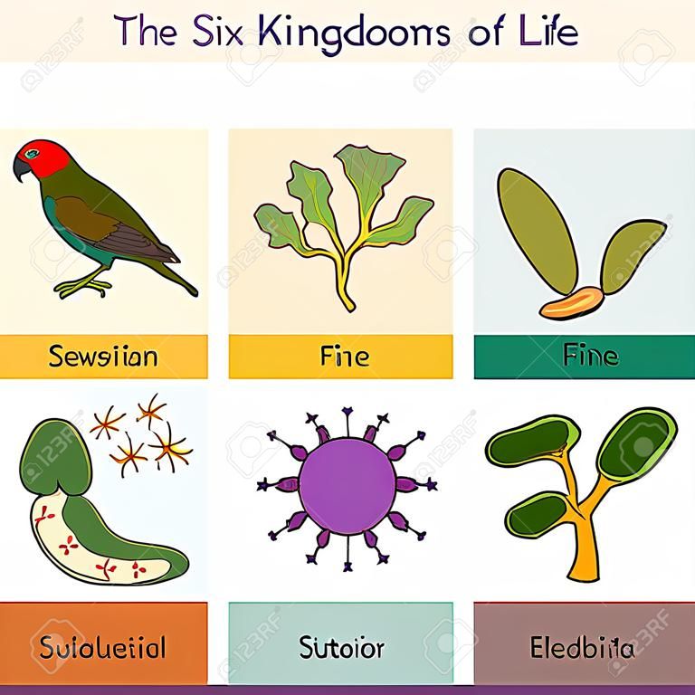 Les six royaumes de la vie Vector illustration