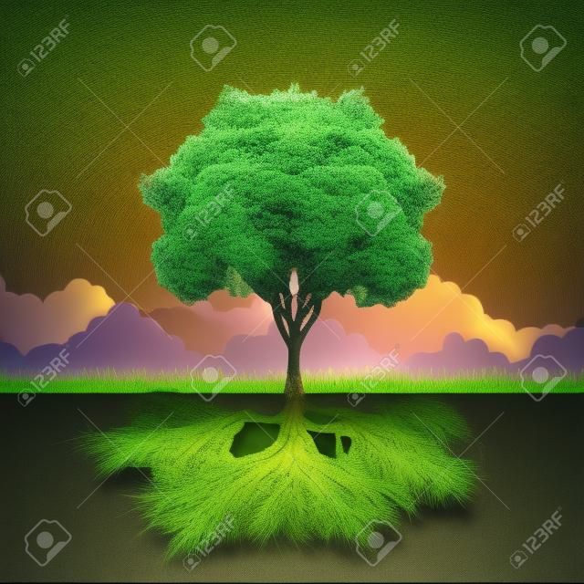 Árbol con la raíz y el pasto