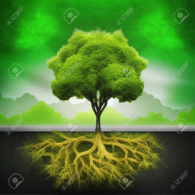 Árbol con la raíz y el pasto
