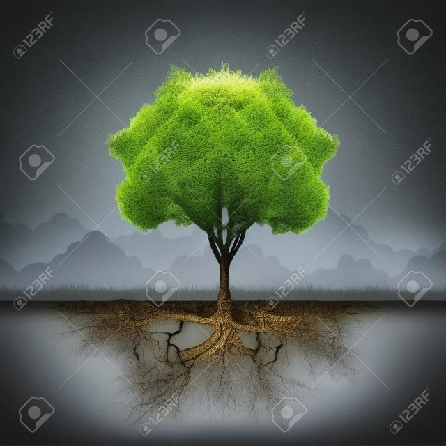 Fa gyökér és fű