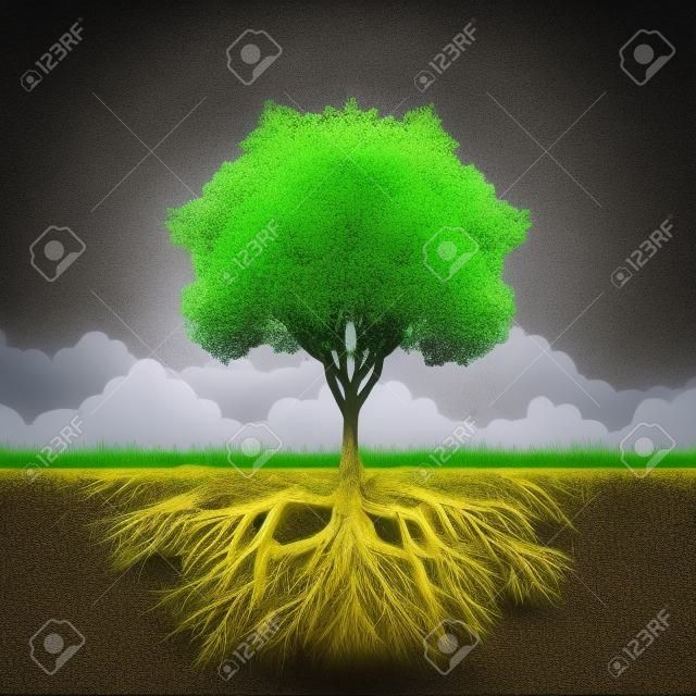 Tree with root and grass