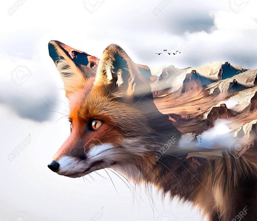 Exposição dobro da cara marrom da raposa e penhasco rochoso da montanha cercado por nuvens brancas