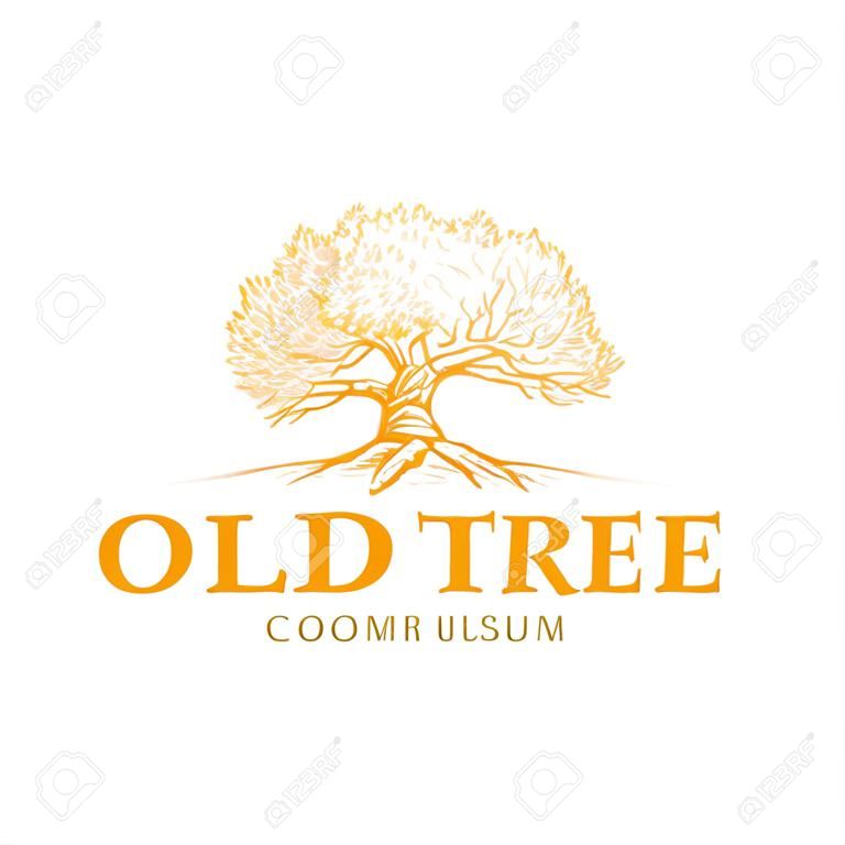 오래 된 나무 추상적인 벡터 기호, 기호 또는 로고 템플릿. 레트로 타이포그래피와 손으로 그린 오크 나무 스케치 실루엣. 빈티지 엠블럼.