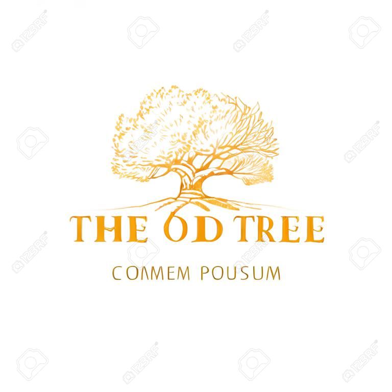 El signo, símbolo o logotipo abstracto del vector del árbol viejo. Silueta de bosquejo de roble dibujado a mano con tipografía retro. Emblema de la vendimia.