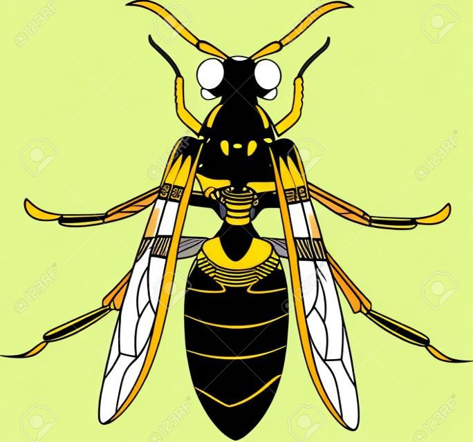 Hornet or Wasp Vector Illustration 2d Flat Colors Isolated on White Background.
