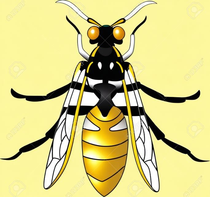 Hornet or Wasp Vector Illustration 2d Flat Colors Isolated on White Background.