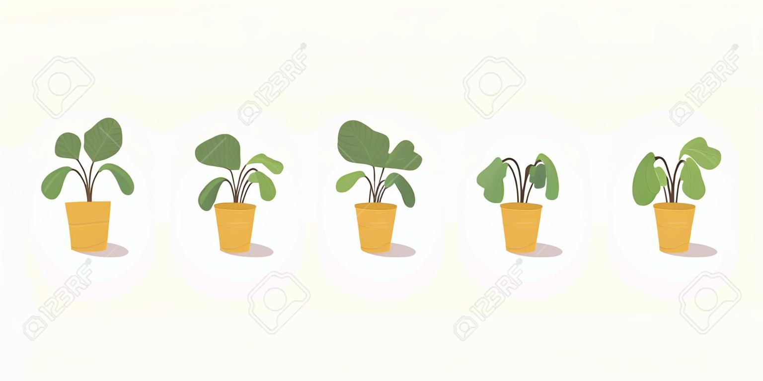 Stages van verwelking, een verwelkte plant in een pot, verlaten huisplant zonder besproeiing en verzorging. Potplant stervende. Vector illustratie