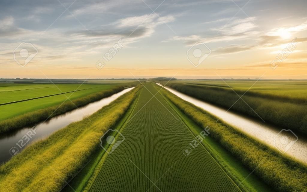 Carretera con zanjas en campo polder plana y abierta en Holanda