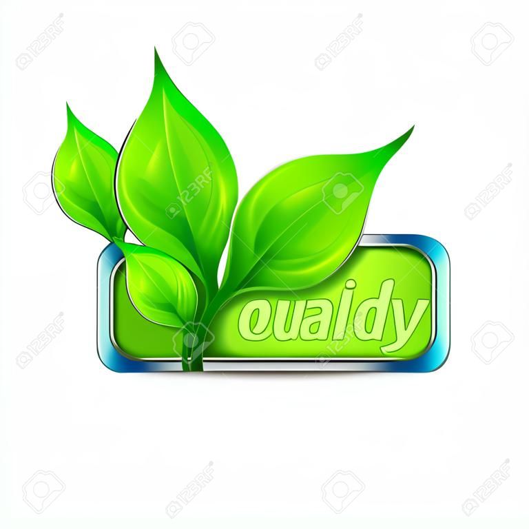 Eco friendly label, leaves and text, vector illustration