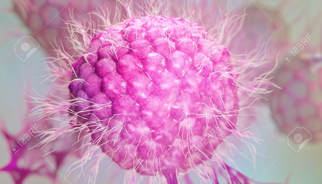 Varicella zoster - Herpes zoster - Virus dell'herpes - Rendering 3D