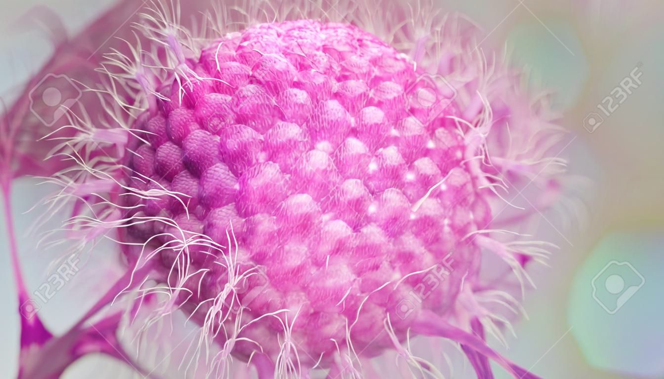 Varicella zoster - Herpes Zoster - Wirus opryszczki - Renderowanie 3D