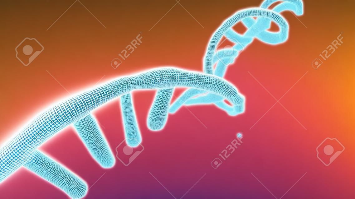 Coronavirus RNA strand. Medical illustration. 3D rendering