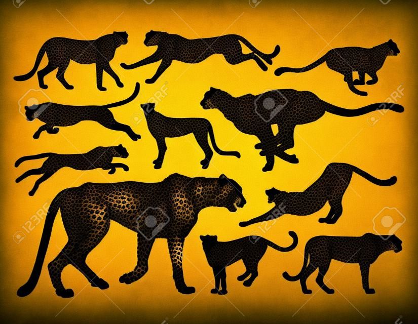 Cheetah vahşi hayvan siluetleri