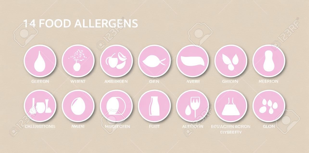 14가지 식품 알레르겐 메뉴 목록 원 아이콘 세트입니다. 분홍색 동그라미에 음식 알레르겐 흰색 아이콘입니다. 글루텐, 계란, 우유, 견과류 알레르기 벡터 아이콘.