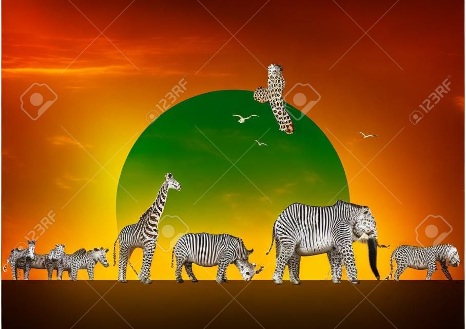 Tier Afrika-Parade