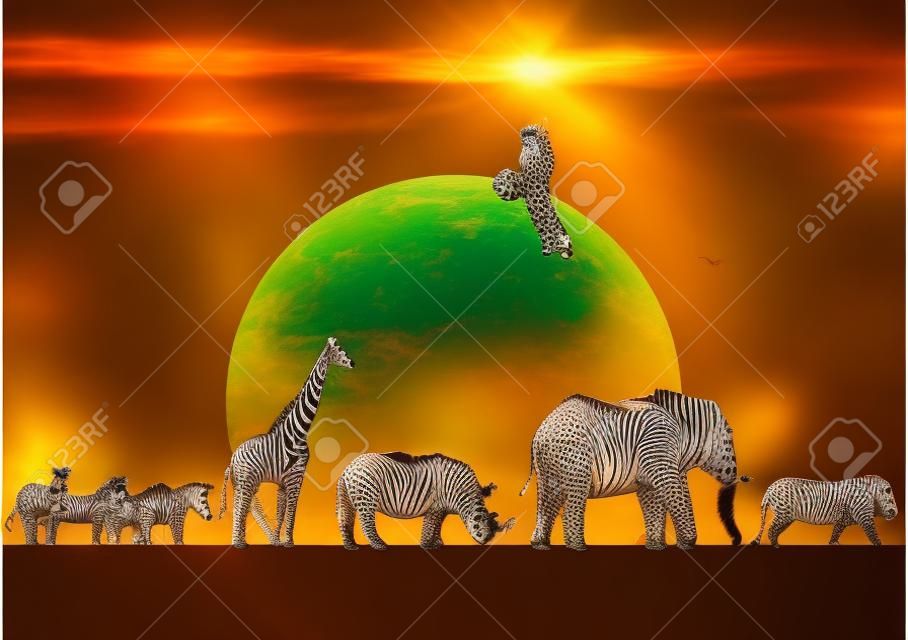 동물 아프리카 퍼레이드