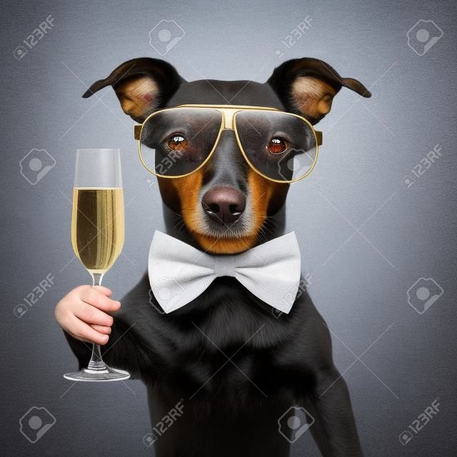 歡呼聲，狗，一杯香檳