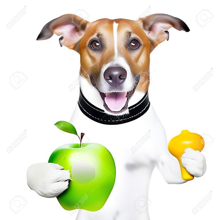 healthy dog with a big smile and a green apple