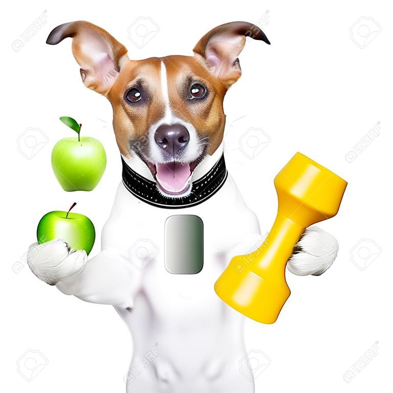 perro sano con una gran sonrisa y una manzana verde
