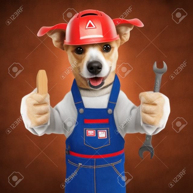 perro artesano con un pulgar encima de sostener una herramienta
