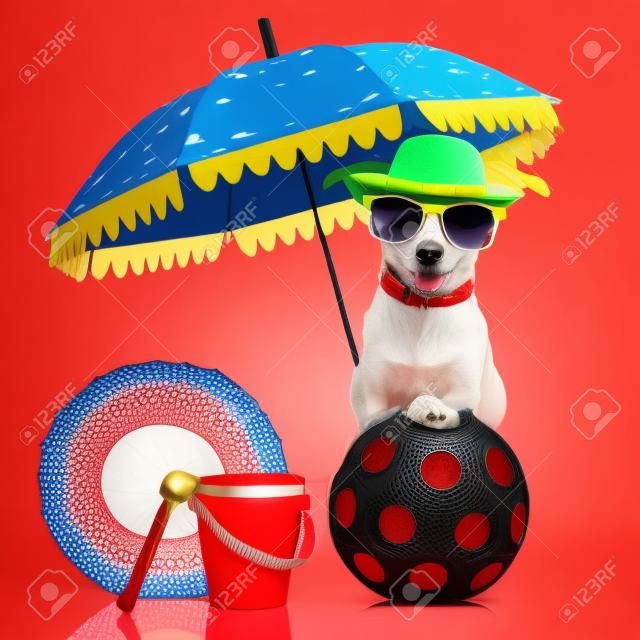 赤のサングラスと素敵なカラフルな帽子と傘の下で犬