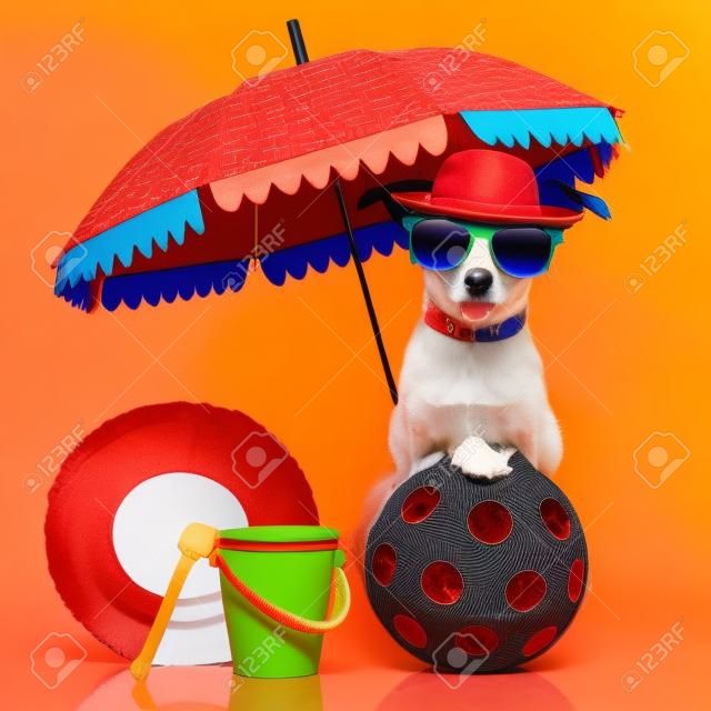 赤のサングラスと素敵なカラフルな帽子と傘の下で犬