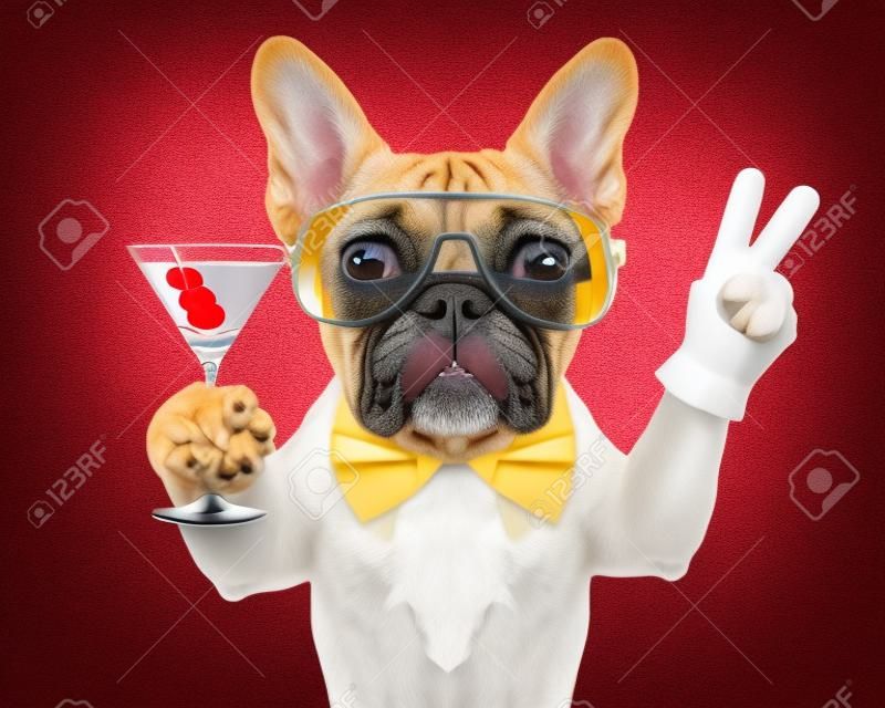 chien avec le cocktail de martini et de la victoire ou les doigts de paix