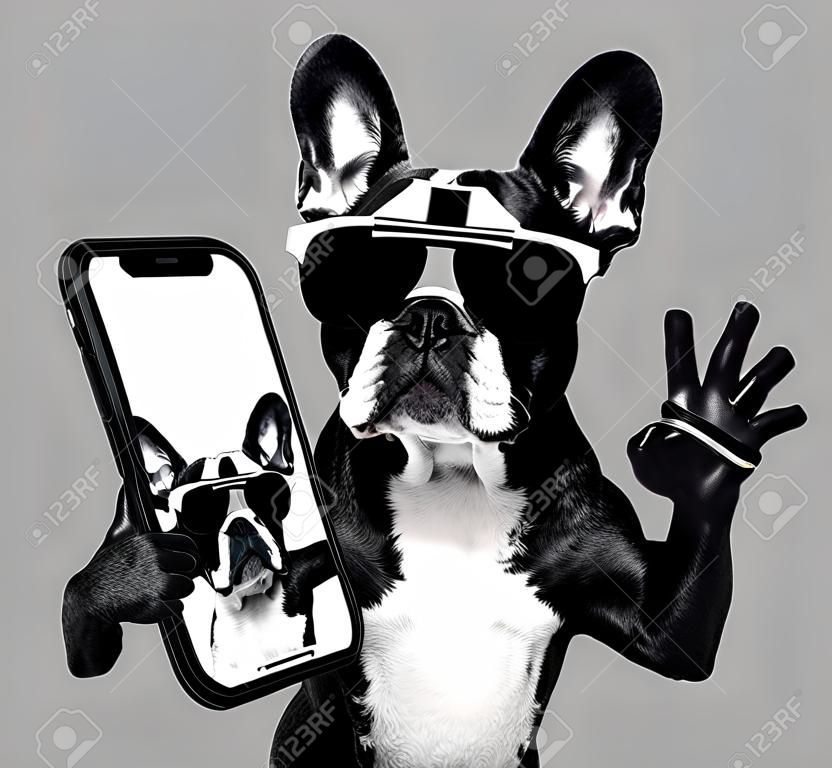 Französisch Bulldog, die ein selfie mit coolen fantastische Sonnenbrillen