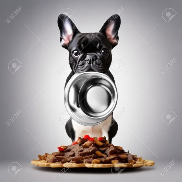 hungrig Französisch Bulldog Hund mit Mund hinter Essen Hügel, isoliert auf weißem Hintergrund hält Schüssel